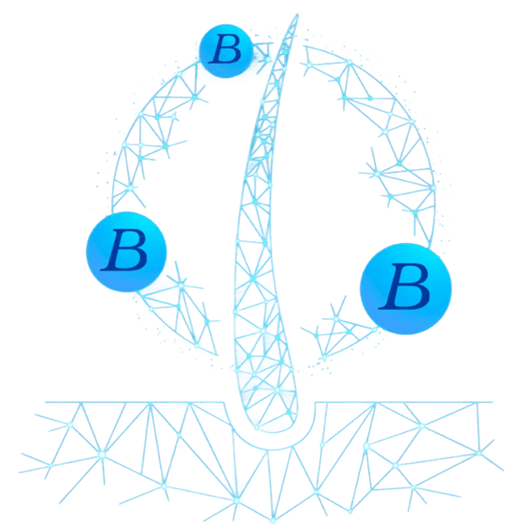 Hair Follicle Analysis