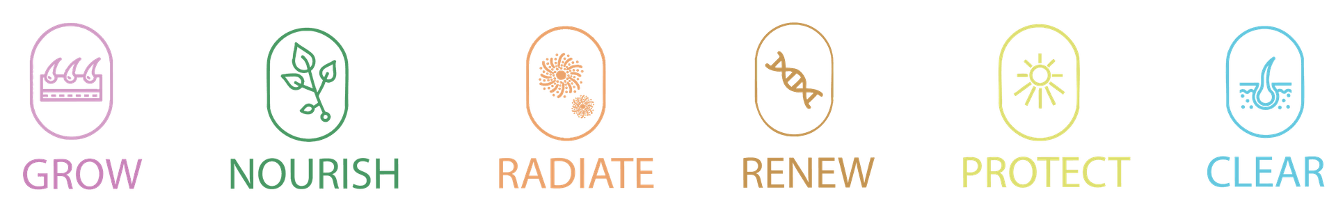 Range of AI Analysis