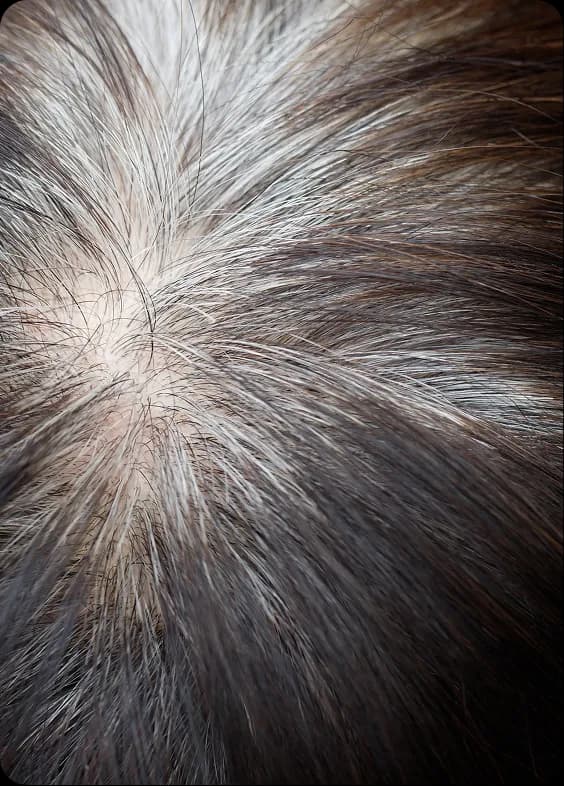 Cover grey roots instantly