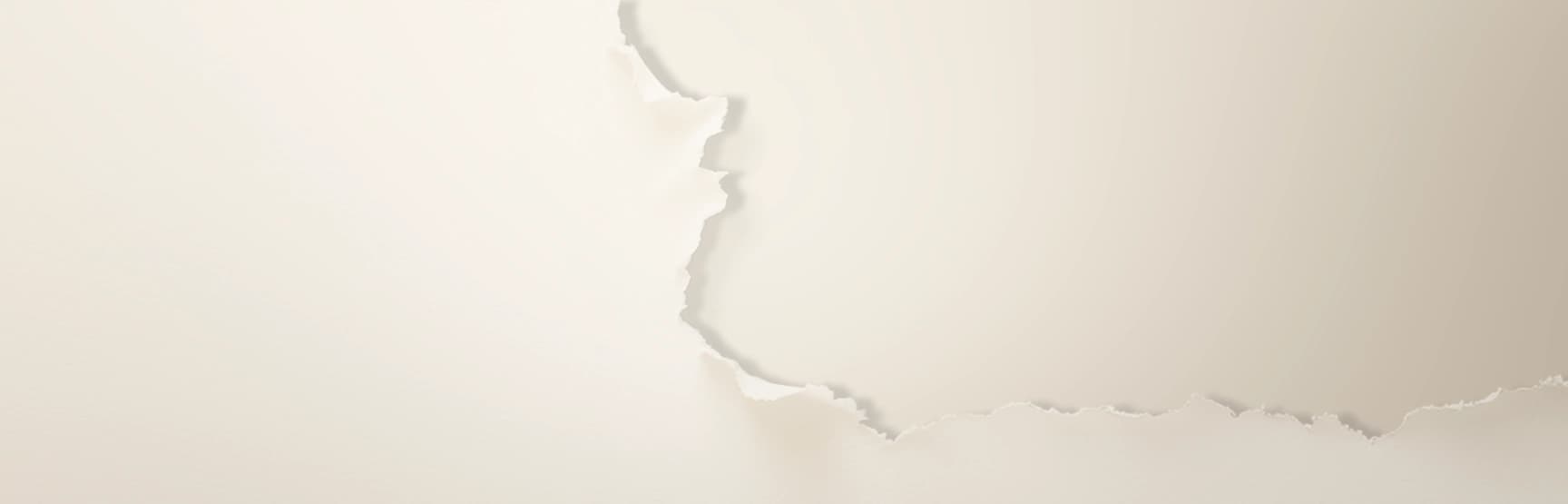 Banner Background Desktop