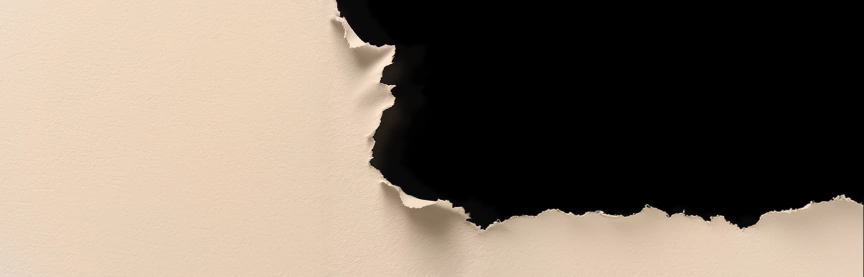 Banner Background Desktop