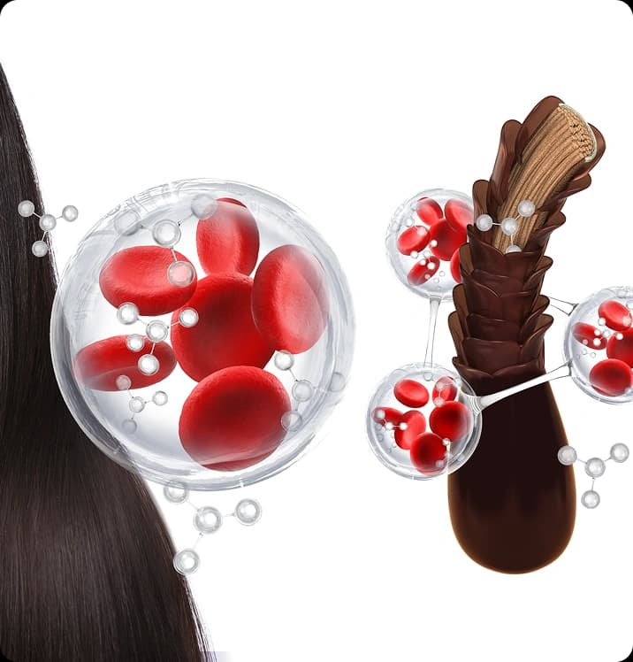 exosome treatment process